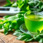 The Role of Green Tea Extract in Weight Management